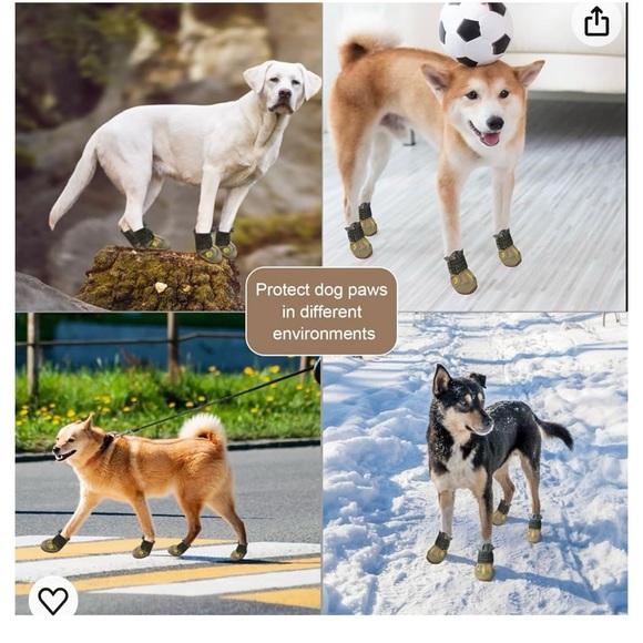 Size 6 Dog Shoes!! - Picture 6 of 12